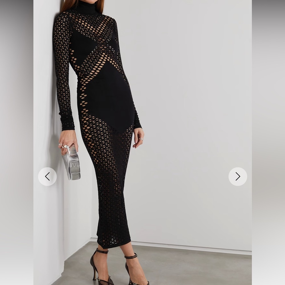 Dion Lee dress